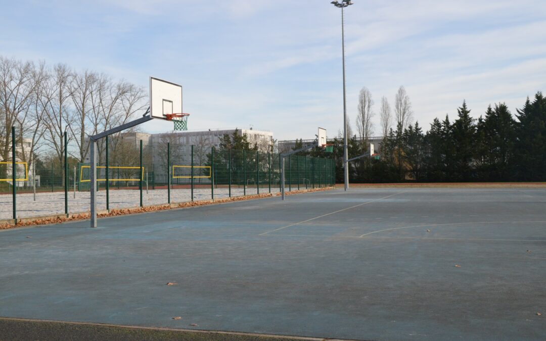 3 Terrains de Basket-Ball