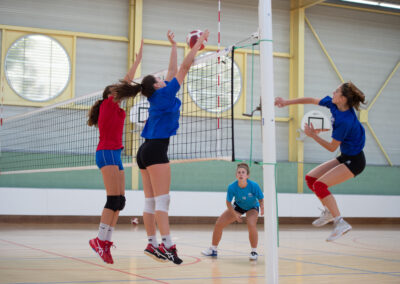 Volley-ball Féminin