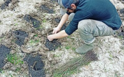 PLANTATION D’UNE MICRO-FORÊT AU CREPS