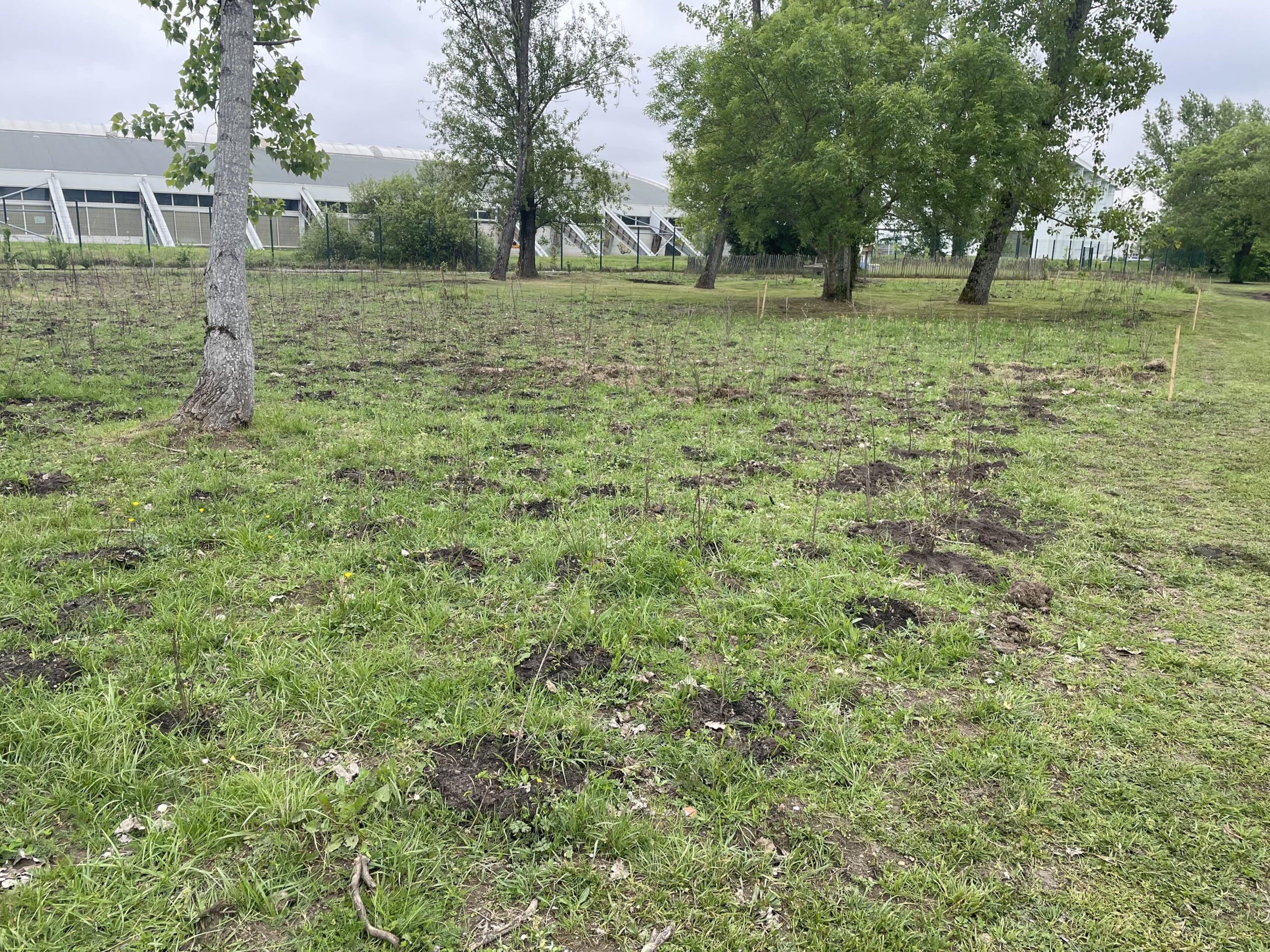 La micro forêt du CREPS