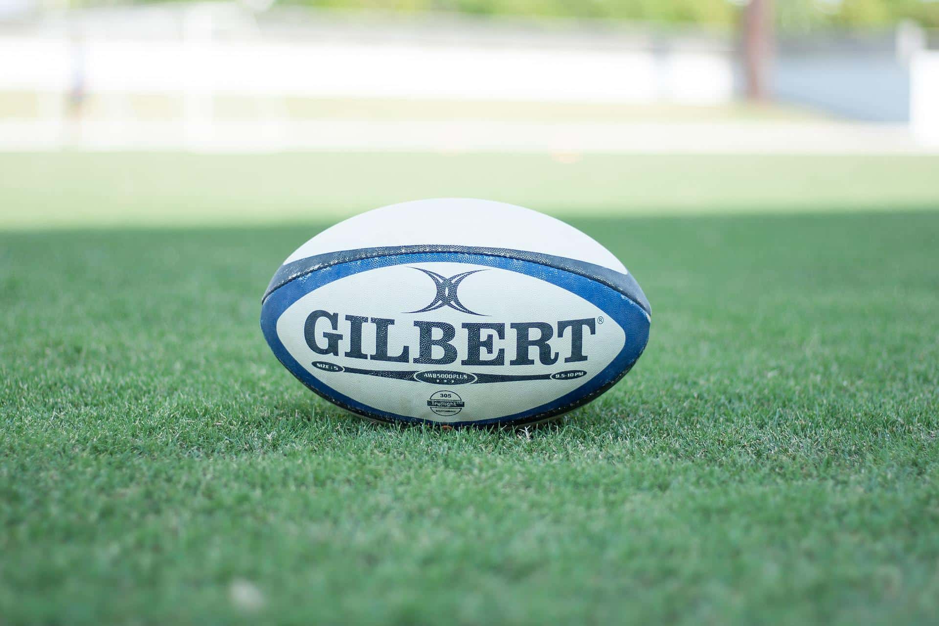 rugby-ga0dd473a2_1920 ballon de rugby