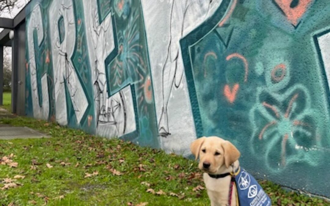 CREPS DE BORDEAUX WELCOMES A FUTURE GUIDE DOG