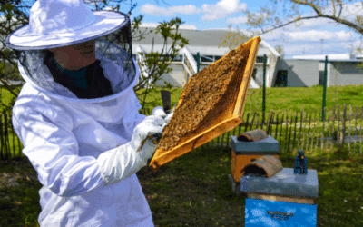 LE CREPS DE BORDEAUX ENGAGÉ POUR LA BIODIVERSITÉ